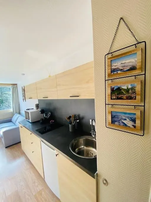 Appartement Residence Le Bec De L'Aigle Laveissiere Apartment