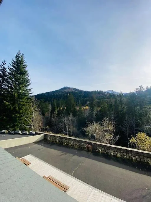 Appartement Residence Le Bec De L'Aigle Laveissiere 0*,  France