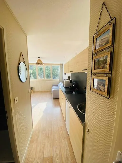 Appartement Residence Le Bec De L'Aigle Laveissiere 0*,
